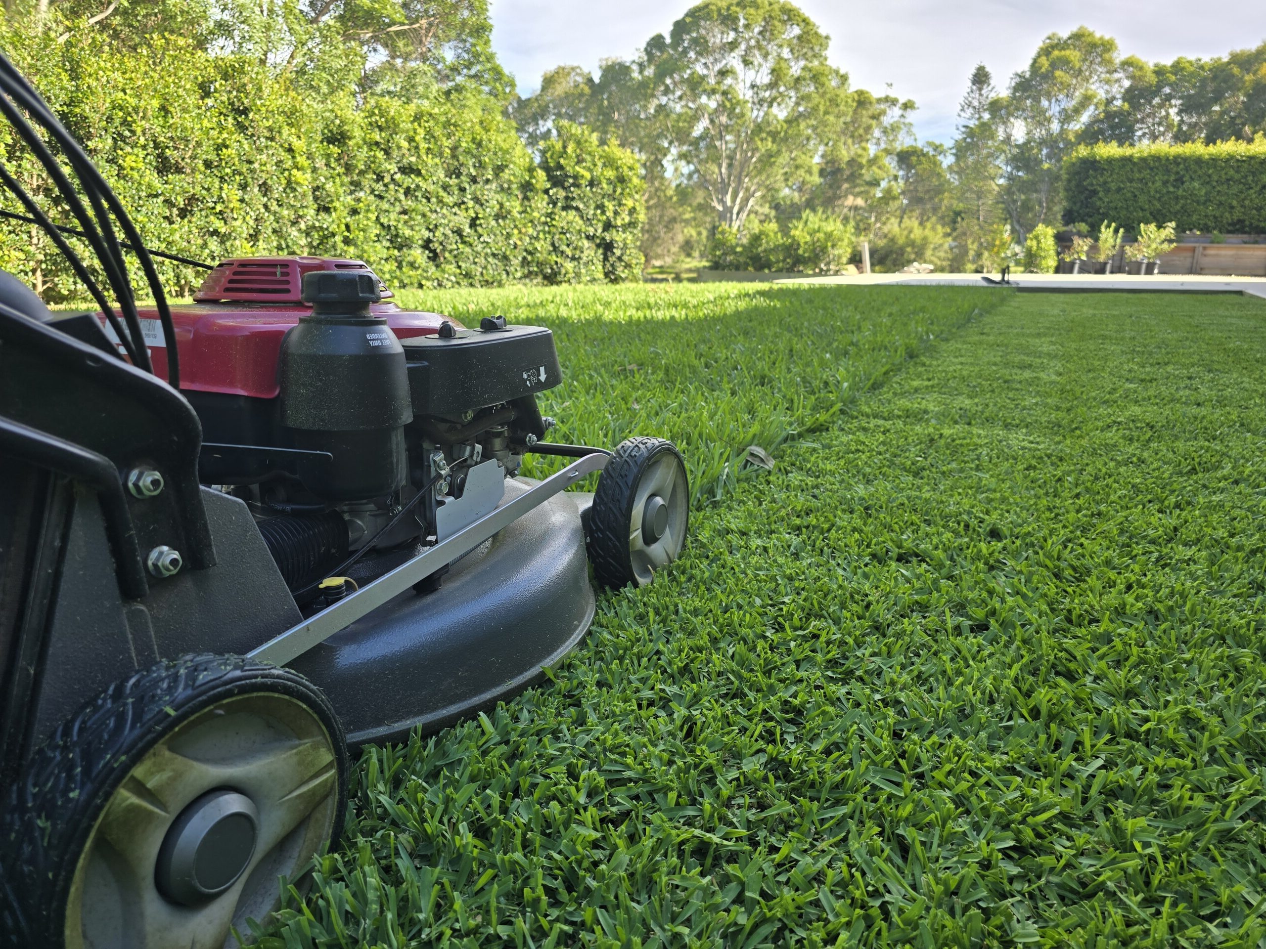 close-up-honda-mower